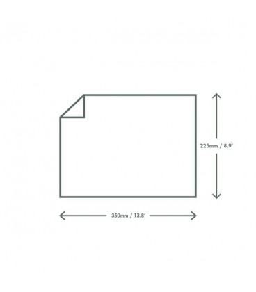 PAPIER ALIMENTAIRE RESISTANT AUX GRAISSES 350X225MM COMPOSTABLE - vaisselle jetable recyclable