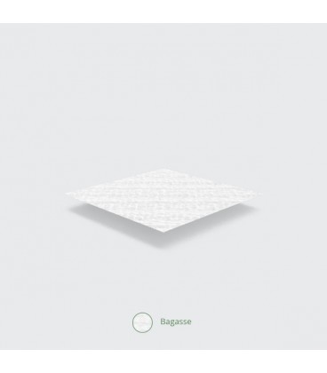 ASSIETTE RONDE BLANCHE EN RESIDUS DE BAGASSE 17 CM