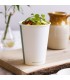 POT ROND PLA 950 ml COMPOSTABLE - vaisselle jetable biodégradable