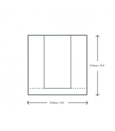 SACHET EN KRAFT AVEC FENETRE EN NATUREFLEX 21.5 X 21.5 CM - 1000 SACHETS