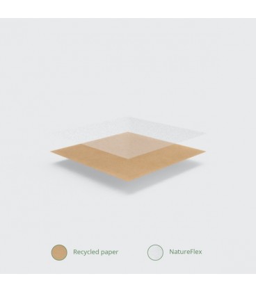 SACHET EN KRAFT AVEC FENETRE EN NATUREFLEX 21.5 X 21.5 CM - 1000 SACHETS