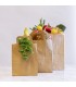 PETIT SAC EN PAPIER RECYCLE 18CM VOLUME 3.6L COMPOSTABLE VEGWARE