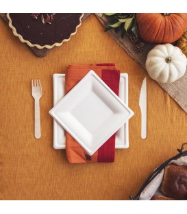 Assiette carrée en pulpe 21cm - 500 assiettes