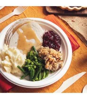 Assiette en pulpe 22,5cm - 500 assiettes