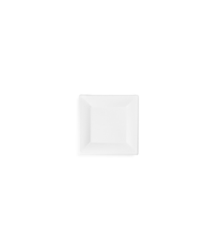 Assiettes Carrées Jetables 24,1 Cm Thème USA - 50pcs Assiettes Bagasse Canne à Sucre Compostables Pour BBQ, Pique-nique, 4 Juillet
