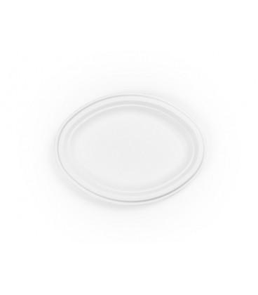 ASSIETTE RONDE EN BAGASSE 25 CM - 500 ASSIETTES