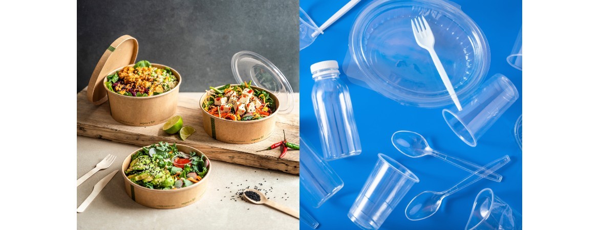 Vaisselle végétale compostable vs vaisselle jetable traditionnelle : les différences majeures