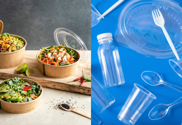 Vaisselle végétale compostable vs vaisselle jetable traditionnelle : les différences majeures