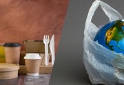 Pourquoi il est urgent de se mettre à la vaisselle végétale compostable ?