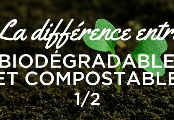 La différence entre biodégradable et compostable